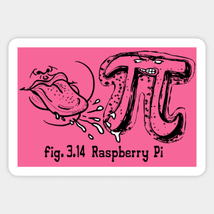 Fig 3.14 Pi Day Raspberry Pi Symbol Sticker